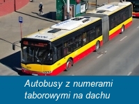 Autobusy z numerami taborowymi na dachu