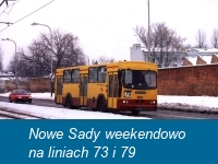 Nowe Sady weekendowo liniach na 73 i 79