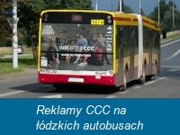 Reklamy CCC na łódzkich autobusach