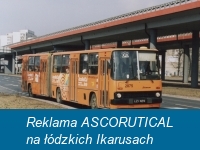 Reklama ASCORUTICAL na łódzkich Ikarusach