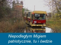 2017-11-11 Niepodległym Migiem patriotycznie, tu i ówdzie