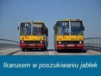 2018-04-07 Ikarusem w poszukiwaniu jabłek