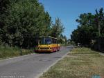 24546.jpg