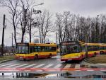 24568.jpg