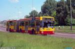 24621.jpg