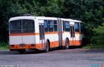 24625.jpg