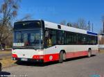 24906.jpg