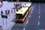 25509.jpg