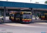 25512.jpg