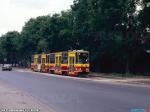 25548.jpg