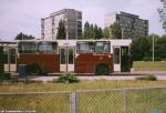 4024.jpg
