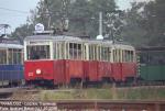5169.jpg