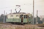 5177.jpg