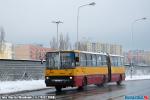6549.jpg