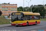 7429.jpg