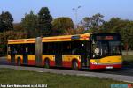7795.jpg