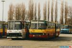 8806.jpg